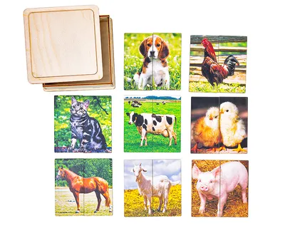 Картинки-половинки "Домашние животные", 2 планшета Smile Decor - купить в  ИП Зинин, цена на Мегамаркет
