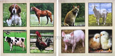 Картинки-половинки Домашние животные, 2 планшета, Smile-Decor, арт. А018 -  купить в интернет-магазине Игросити
