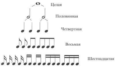 Половинная нота картинка - 63 фото