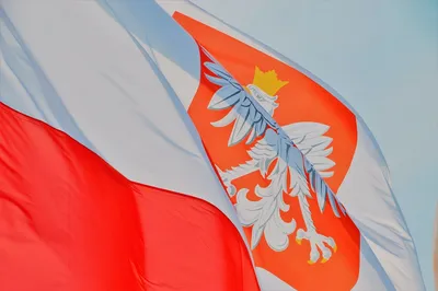 Флаг Польша 150х90 см. Польский флаг полиэстер RESTEQ. Polish flag  (ID#1685889113), цена: 399 ₴, купить на 