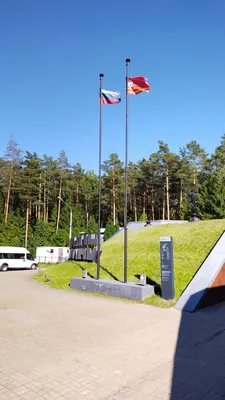 флаги марийна,Папская область,польский 112x70 + палки - Vroda