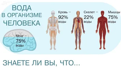 Польза воды для организма и к чему приводит недостаток воды | статья