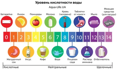 Польза и вред фильтрованной воды — Тираж