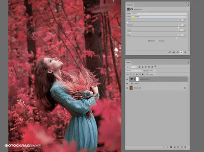 Цветокоррекция фото: 5 способов изменить цвет в Photoshop | Статьи | Фото,  видео, оптика | Фотосклад Эксперт