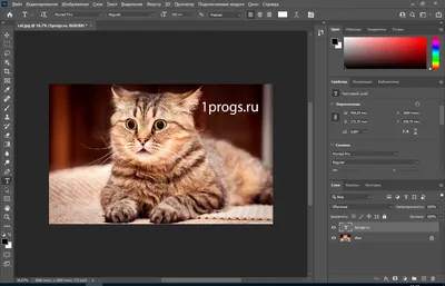 Как сделать текст в Photoshop: основы работы с текстом для новичков