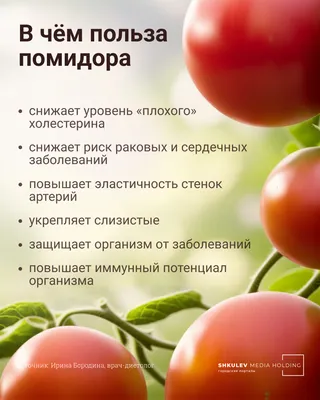 Вред помидоров для организма: кому нельзя есть томаты и почему - 4 марта  2023 - НГС