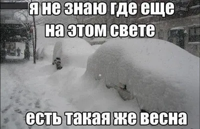 Как дачнику настроиться на весну? | Поехали на дачу? | Дзен