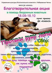 Помощь бездомным животным в Москве - Агентство городских новостей «Москва»  - информационное агентство
