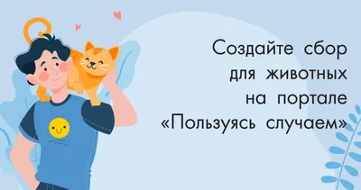 Помощь бездомным животным | СИУ - филиал РАНХиГС г. Новосибирск | Дзен