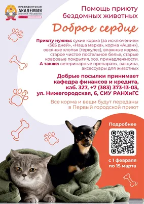 Фонд "Помощь бездомным собакам" - приют для собак и кошек в Санкт-Петербурге