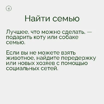 Как помочь бездомным животным в мороз: это может сделать каждый. Читайте на  