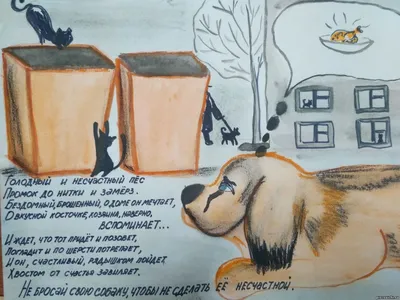 Музей школы | Будущее - это мы! | Акция помощи бездомным животным.