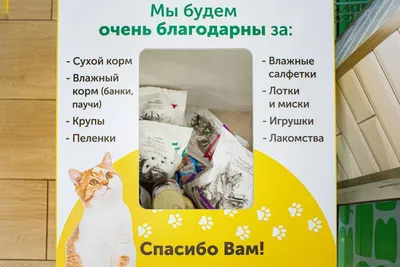 День защиты животных: делать добро — просто | Новости и статьи ВкусВилл:  Москва и область