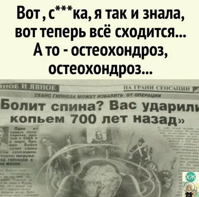 Сова в понедельник: картинки с добрым утром - инстапик | Доброе утро, Утро  понедельника, Смешные открытки