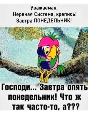 Прикольная картинка «Понедельник — это хорошо, но когда там пятница уже?».  Смешная цитата про понедельник и … | Юмор про понедельник, Смешные  открытки, Смешной юмор