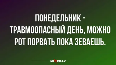 Юмор за день и понедельник травмоопасный |  | Дзен