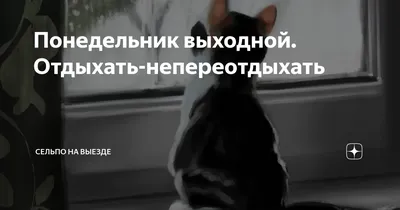 Понедельник выходной. Отдыхать-непереотдыхать | Сельпо на выезде | Дзен