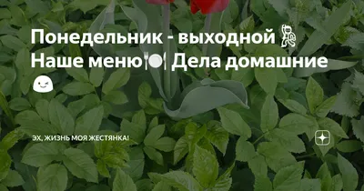 Оглянись во гневе | спектакль Понедельник выходной 2018 Новосибирск купить  билет