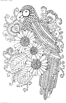 Раскраска Попугай | Раскраски антистресс Птицы. Сложные раскраски-антистресс  с птицами.