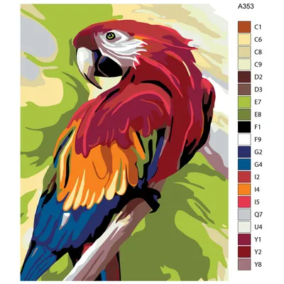Раскраски Попугай для детей 6 7 лет (34 шт.) - скачать или распечатать  бесплатно #23026