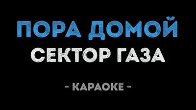 История создания приюта для животных | Приют Ласка, г.Барнаул | Дзен