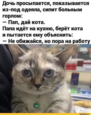 Конец отпуска картинки - 68 фото