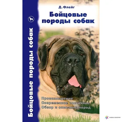 ТОП-10: Лысые породы собак (фото и описанием) | Кругозор Питомцев | Дзен