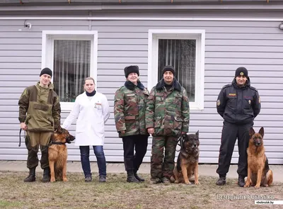 Барон, Вульф, Викинг, Джессика, Забава. Кто служит в охране | 