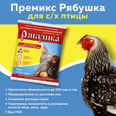 Благовещенцы развели 400 кроликов, открыли «утиный роддом» и стали  миллионерами — Амурская правда, новости Благовещенска и Амурской области