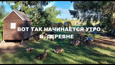 КЛЕТКИ ДЛЯ КРОЛИКОВ🐇РАЗМЕРЫ 🐰ДЕРЕВНЯ⛪ГЕРМАНИЯ - YouTube