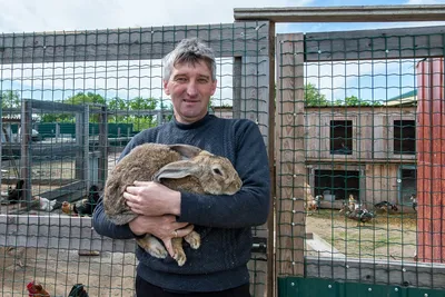 Благовещенцы развели 400 кроликов, открыли «утиный роддом» и стали  миллионерами — Амурская правда, новости Благовещенска и Амурской области