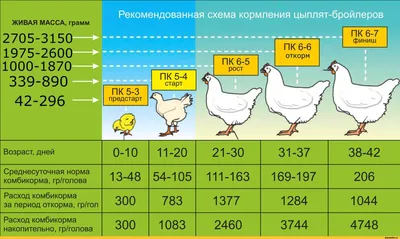 Здравствуйте Помогите пожалуйста решите по действиям. - Школьные Знания.com