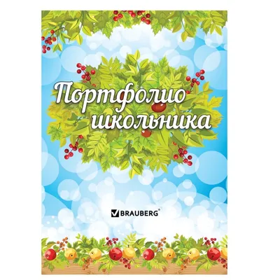 Набор из 5 шт, Листы-вкладыши для портфолио школьника (126896) купить в  Москве с доставкой — интернет-магазин «Люстроф»