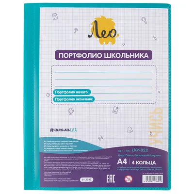 Лео" "ШколаСад" Папка-портфолио школьника на 4 кольцах A4 700 мкм 25 мм  песок бирюзовый LKP-022 купить за 271,00 ₽ в интернет-магазине Леонардо