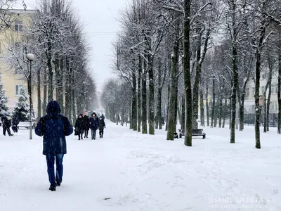  года в Республике Беларусь пройдет единый день голосования  - Инспекция Госстандарта по Минской области и г. Минску