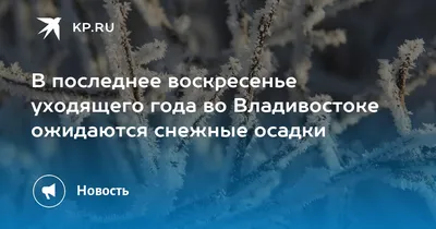 Последнее воскресенье 2023 года..Пусть Новый год принесет много радостных и  счастливых дней и станет годом исполнения.. | ВКонтакте