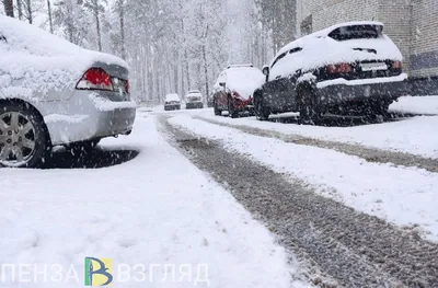 Учреждения социального обслуживания населения