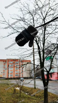 В последний день января Шумков торжественно откроет в Кургане новый парк