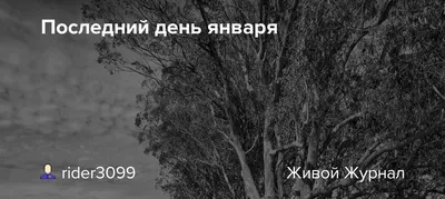  — выходной или рабочий день в России: как будет  оплачиваться, что отмечается