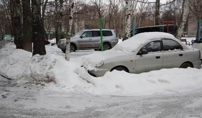 Последний день новогодних каникул: когда следующие длинные выходные?