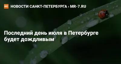 Не пропустите, если у вас УПРОЩЁНКА - 25 июля последний день отправки в ФНС  — Оксана Борух на 