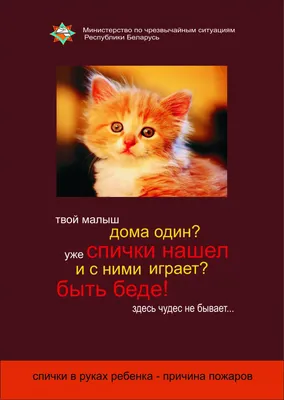 Больнее во сто крат! :: Бобруйск - Сообщения УВД, ГАИ, МЧС, таможня