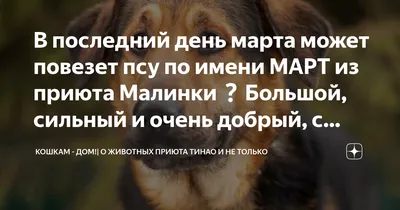 Весна не придет в Карелию в последний день марта | СТОЛИЦА на Онего