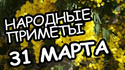 Котоматрица: Думал, что 30 марта - последний день марта, а сегодня - 1  апреля. 1 апреля не