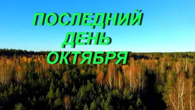 Смоленская газета - Синоптики рассказали, какая погода ждет смолян в последний  день октября