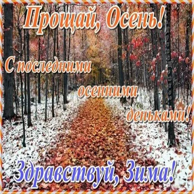 В последний день октября ростовчан немного порадует солнце, но разочарует  ураганный ветер