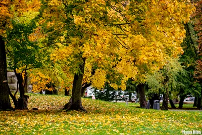 🍁🍂1 октября - замечательная дата в календаре, прекрасная возможность…:  batetsky_glava — LiveJournal