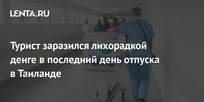 Турист заразился лихорадкой денге в последний день отпуска в Таиланде: Мир:  Путешествия: 