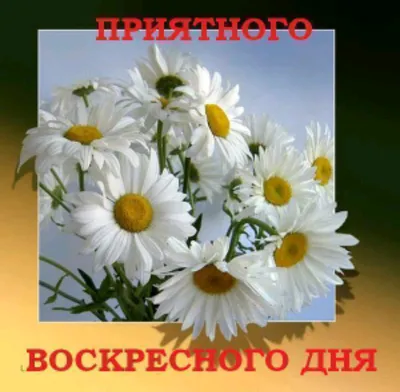 Маленькая Девочка Стоит Грустно На Пляже В Ее Последний День Отпуска —  стоковые фотографии и другие картинки Депрессия - iStock