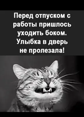 Чек-лист дел перед отъездом в отпуск — как ничего не забыть